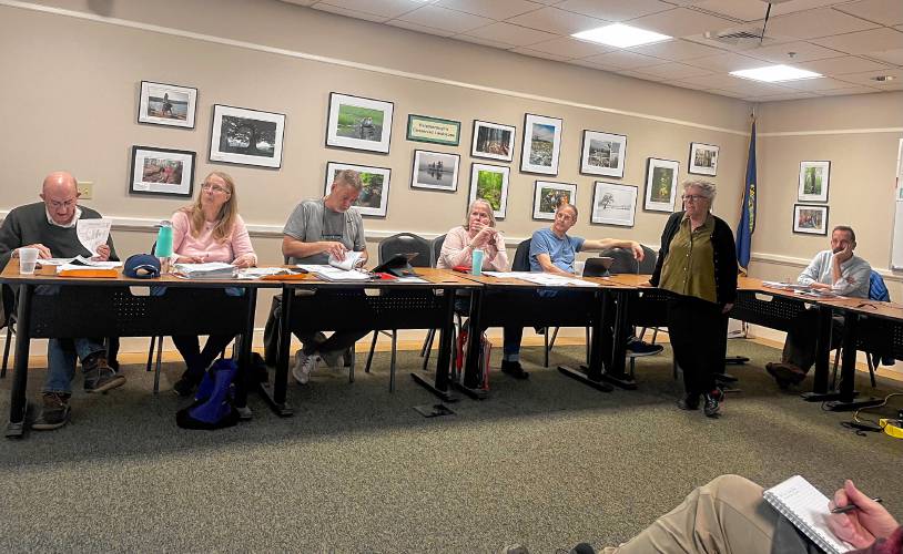 Members of the Peterborough Planning Board, from left, Andrew Dunbar (alternate), Stephanie Hurley, Michael McGill, Chair Lisa Stone and Carl Staley, applicant Ivy Vann, standing, and Blair Weiss. 