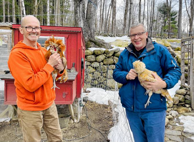 Stephen Burkhardt, left, and Dennis Young and two of their Polish chickens at The Old Parsonage. 