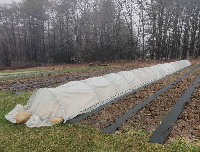 Gene Jonas uses “low tunnels” such as this one to grow produce over the winter.