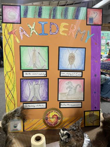 Sixth-grader Nora Blair’s display on the art of taxidermy. 
