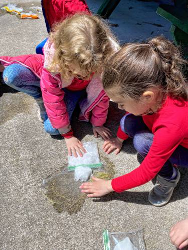 Maddison Hendren and Isabella Romero experiment with exploding baggies for “Wild Science” day.
