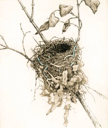 ”Bird Nest With Blue Tarp,” by Ann Eldri