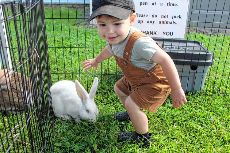 Roman Morton, 1, of Jaffrey, pets a bunny at the petting zoo during Greenville Old Home Day on Saturday.