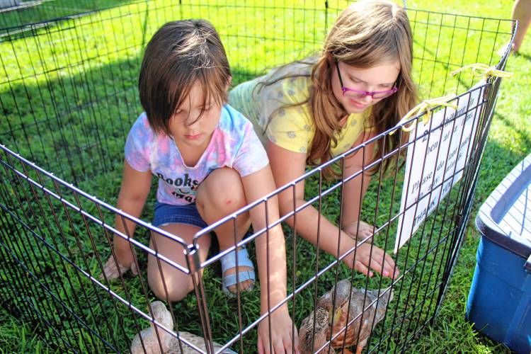 Amelia Hebert, 8, and Olivia Hebert, 10, meet some chickens at the petting zoo during Greenville Old Home Day on Saturday.