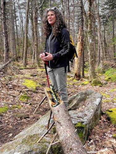 Naturalist Susie Spikol of The Harris Center points out the spotted salamander carving created by artist Jack McWhorter. 