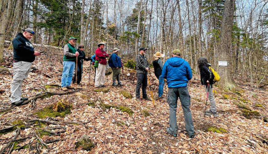 The Harris Center’s veterans hike group on the trail to Jack’s Pond. 