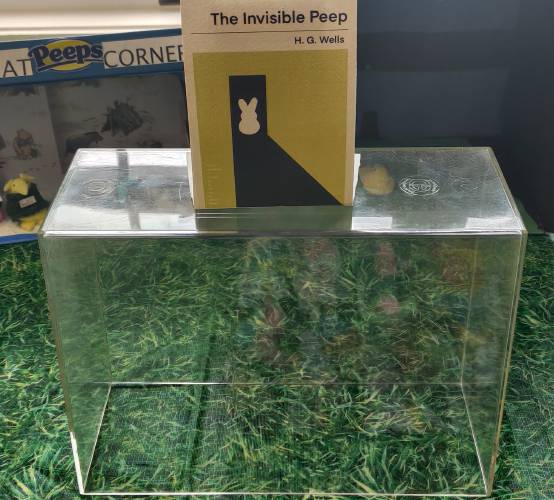 “The Invisible Peep,” submitted by Kate Corr Frame. Based on “The Invisible Man” by H.G. Wells.