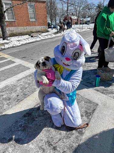 The Easter Bunny holds Peter the dog for a photo.