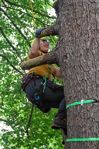 Kate Odell from Broad Oak Tree & Shrub Care in Peterborough ascends during a past ISA championship. 