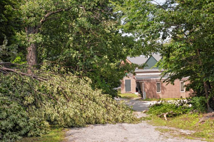 A large tree downed across a highly-trafficked footpath at the Dublin School.