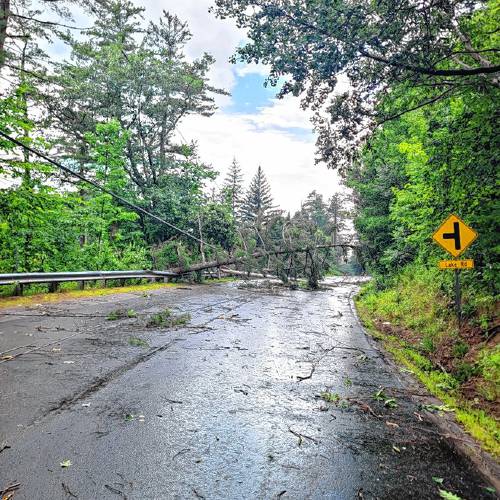 Route 101 in Dublin was closed in both directions Thursday due to large trees, wires and a snapped telephone pole blocking the roadway.