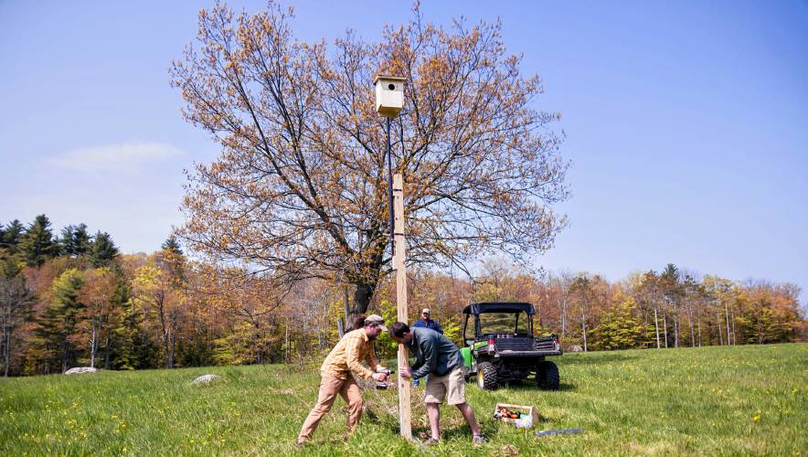 Phil Brown and Mike Valentino install a kestrel nest box.