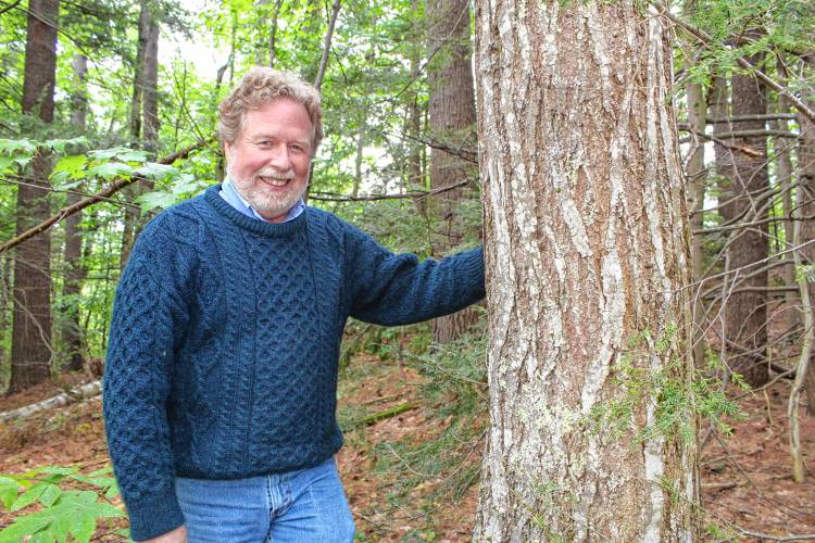 Scott Hecker stands next to a large, mature American chestnut found in Temple.