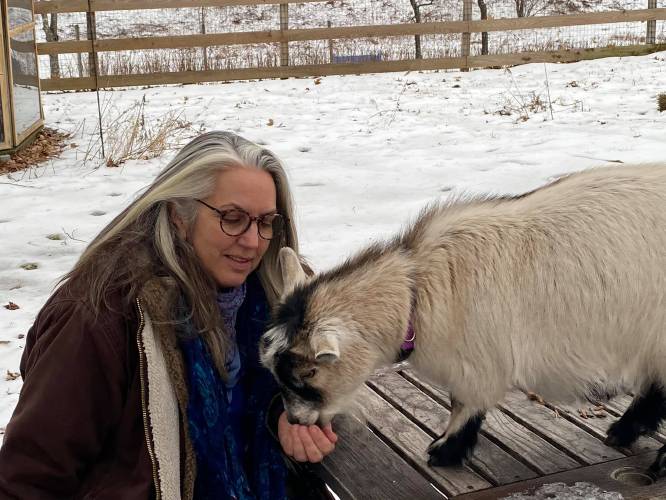 The Rev. Barbara Thorngren feeds one of her goats.