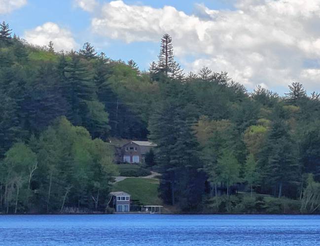 A  photo of the tree-shaped Pierce Lake cell tower from across the lake in 2022. 